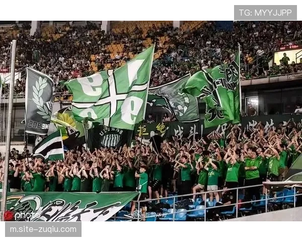 北京国安中赫集团独立支撑 民企背景俱乐部面临资金考验